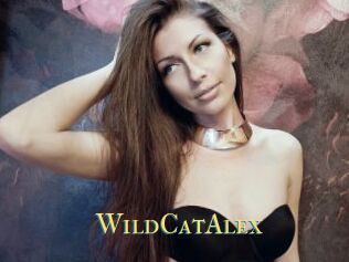 WildCatAlex