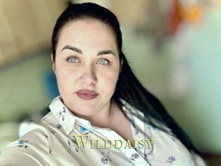 Wilddaisy