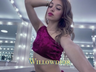 Willowdior