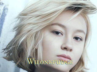Wilonefudge