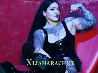 Xliaharachne
