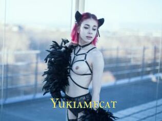 Yukiamecat