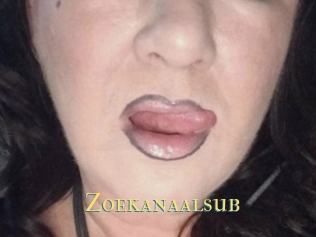 Zoekanaalsub